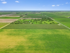 Listing Image #2 - Others for sale at 33.84 FM 506, Santa Rosa TX 78593