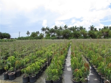 Others property for sale in Bokeelia, FL