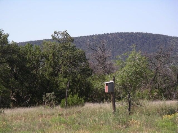 Listing Image #2 - Others for sale at U3tr11a Pinon Ridge Road T11a,U3, Sandia Park NM 87047
