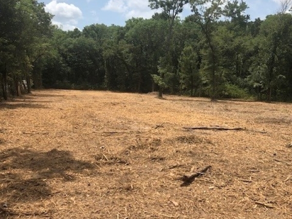 Listing Image #1 - Land for sale at 1.85 ac CR 3622, Quinlan TX 75474