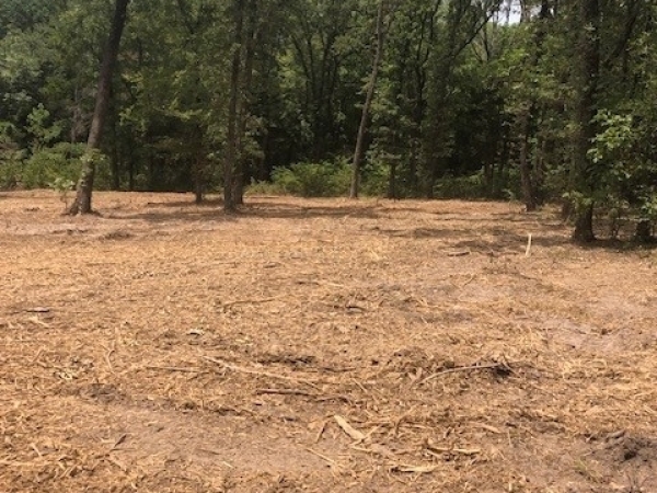 Listing Image #2 - Land for sale at 1.85 ac CR 3622, Quinlan TX 75474