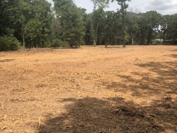 Listing Image #3 - Land for sale at 1.85 ac CR 3622, Quinlan TX 75474