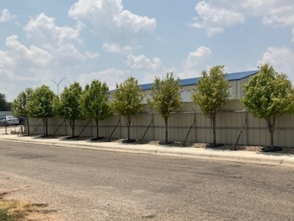 Listing Image #3 - Industrial for sale at 807 N Tennessee, Amarillo TX 79106