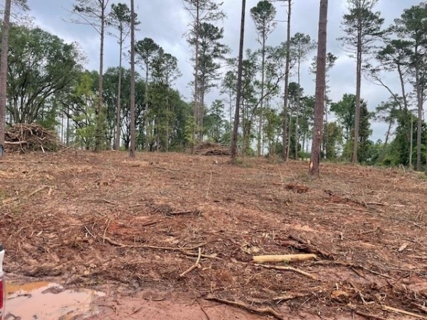 Listing Image #3 - Others for sale at 1408 Us Hwy 82w, Leesburg GA 31763 Listing Image #3 - Others for sale at 1408 Us Hwy 82w, Leesburg GA 31763