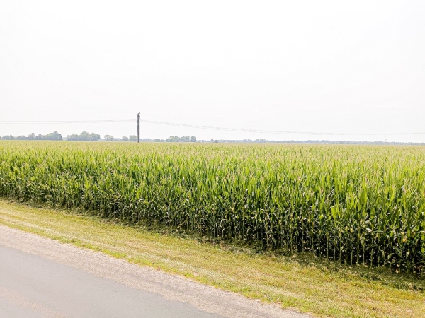 Listing Image #2 - Land for sale at Hulman ST, Terre Haute IN 47803