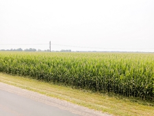 Listing Image #2 - Land for sale at Hulman ST, Terre Haute IN 47803