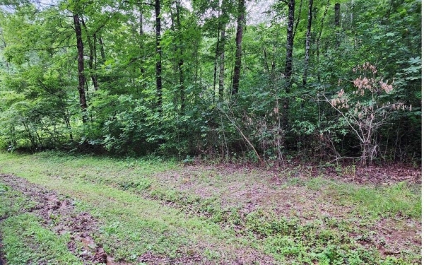 Listing Image #2 - Land for sale at 15&16 Lonesome Pine Road, Murphy NC 28906