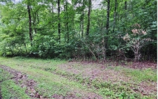 Listing Image #2 - Land for sale at 15&16 Lonesome Pine Road, Murphy NC 28906