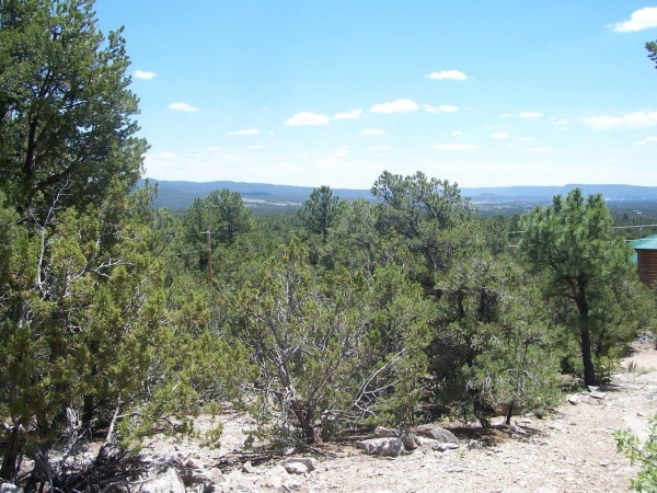 Listing Image #2 - Others for sale at County Rd B-52, Pecos NM 87552