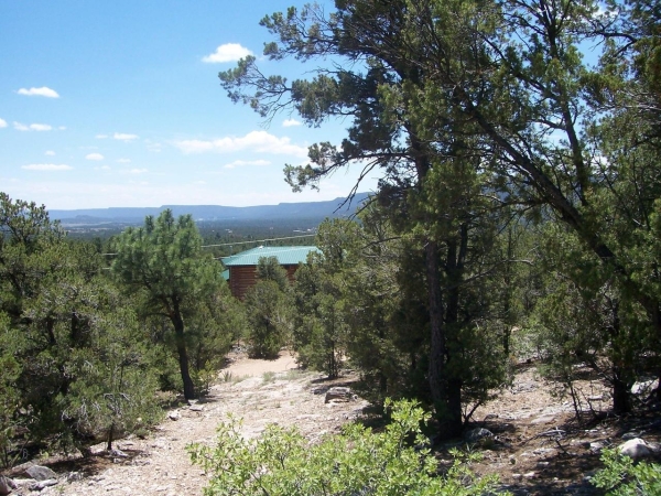 Listing Image #3 - Others for sale at County Rd B-52, Pecos NM 87552