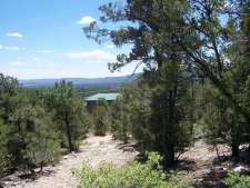Listing Image #3 - Others for sale at County Rd B-52, Pecos NM 87552