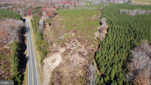 Listing Image #2 - Land for sale at 5326 Zachary Taylor Highway, Mineral VA 23117