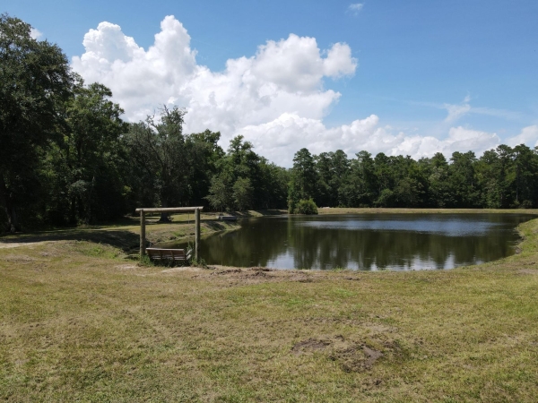 Listing Image #3 - Land for sale at 0 Gator Walk, Ridgeville SC 29472