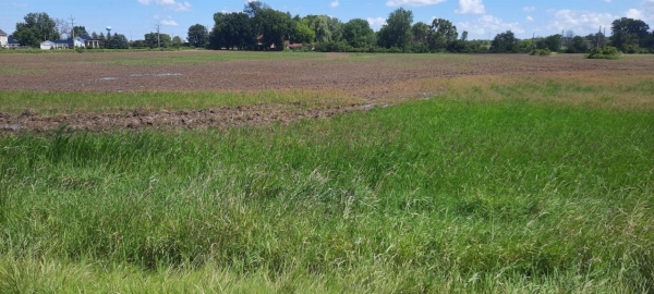 Listing Image #2 - Others for sale at SHAWANO Street, NEW LONDON WI 54961