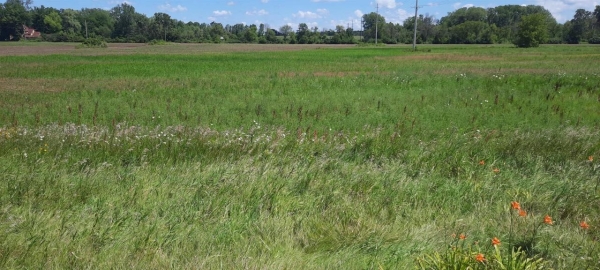 Listing Image #3 - Others for sale at SHAWANO Street, NEW LONDON WI 54961