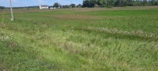 Others property for sale in NEW LONDON, WI