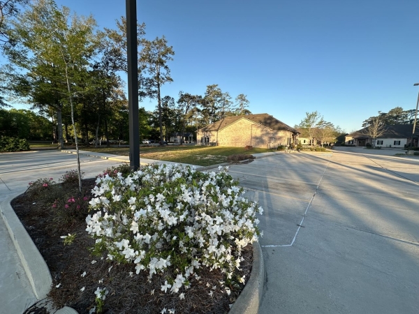 Listing Image #1 - Others for sale at 102 Fountainbleau Drive, Mandeville LA 70471