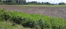 Others property for sale in NEW LONDON, WI