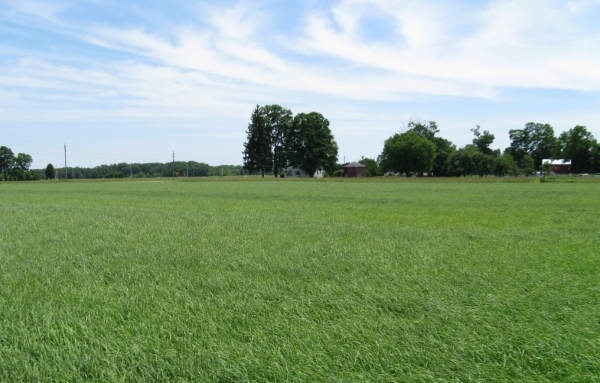 Listing Image #2 - Land for sale at 0 Banff Rd, Edinboro PA 16412
