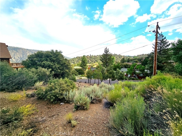 Listing Image #3 - Land for sale at 2005 Pioneer Way, Pine Mountain Club CA 93222