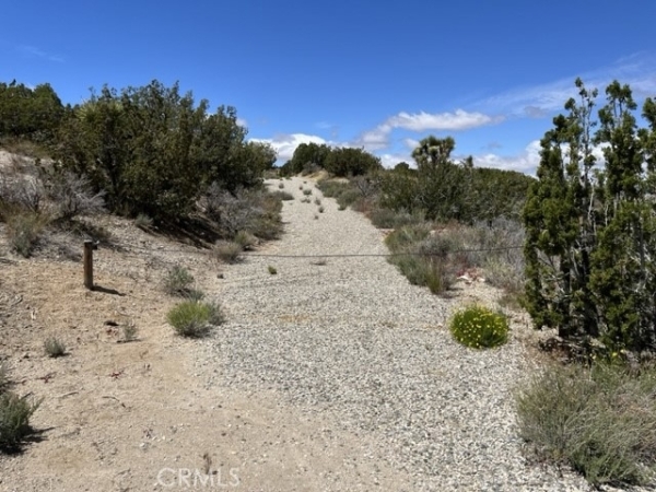 Listing Image #2 - Land for sale at 128 Longview Road, Juniper Hills CA 93553