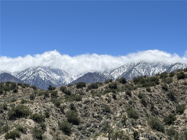 Listing Image #1 - Land for sale at 0 Longview Road, Juniper Hills CA 93553
