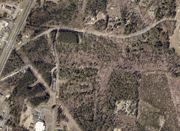 Listing Image #2 - Land for sale at 00 Irvin Jumper Street, Gaston SC 29053