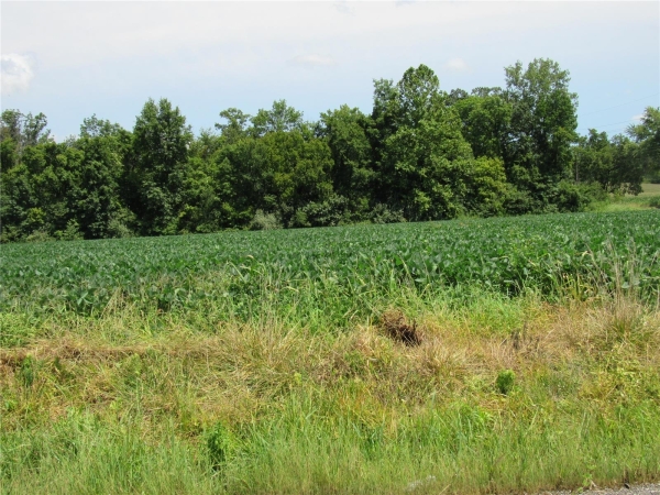 Listing Image #2 - Industrial for sale at 2600 Fosterburg Road, Alton IL 62002
