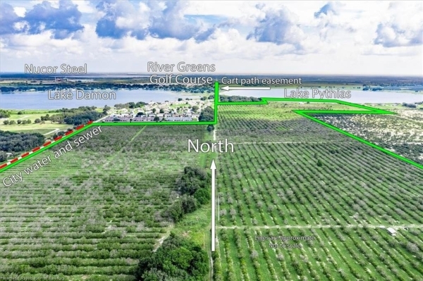 Listing Image #3 - Others for sale at 220 E Shockley Road, Avon Park FL 33825