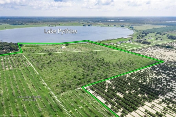Listing Image #3 - Others for sale at 298 County Road 17A Road W, Avon Park FL 33825