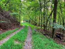 Land for sale in Ellijay, GA