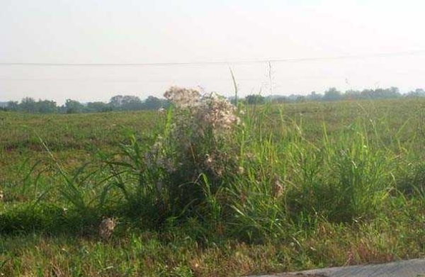 Listing Image #2 - Land for sale at Lot 3 Alpine Drive, Shelbyville KY 40065