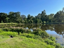 Listing Image #2 - Others for sale at 941 County RD 1211, Canton TX 75103