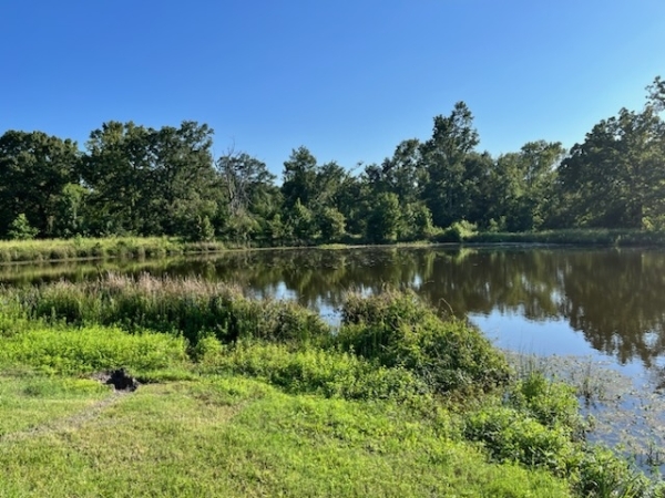Listing Image #2 - Others for sale at 941 VZ County RD 1211, Canton TX 75103