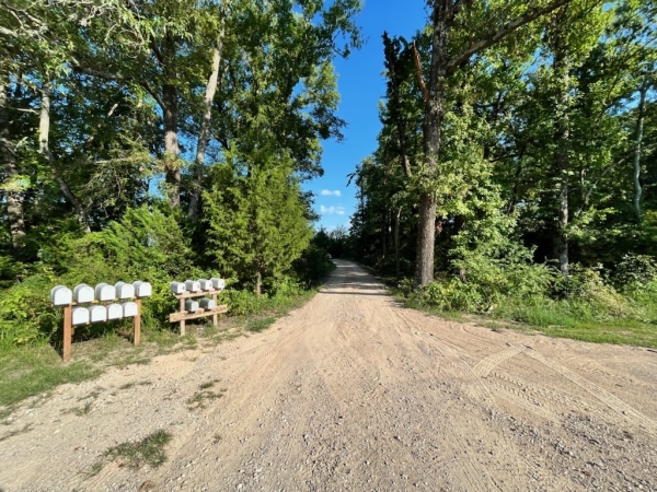Listing Image #3 - Others for sale at 941 VZ County RD 1211, Canton TX 75103