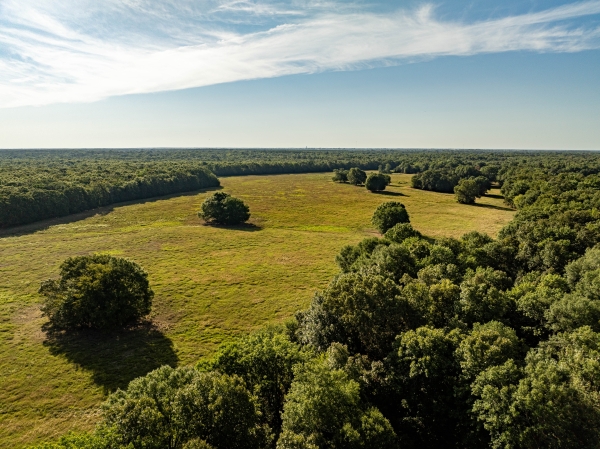 Listing Image #3 - Others for sale at 312 CR 2100, Detroit TX 75436