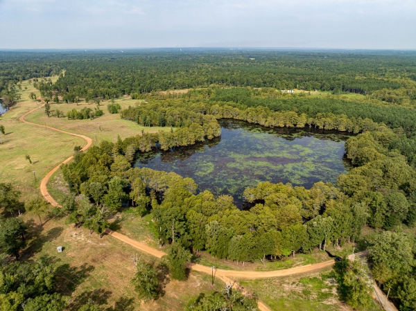 Listing Image #2 - Others for sale at TBD Moon Lake Rd, Jefferson TX 75657