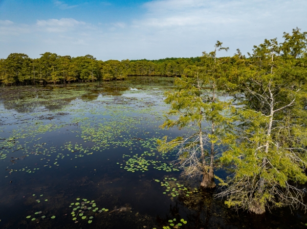 Listing Image #3 - Others for sale at TBD Moon Lake Rd, Jefferson TX 75657