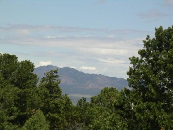 Listing Image #2 - Others for sale at Fullerton Ridge Subdivision, Sandia Park NM 87047