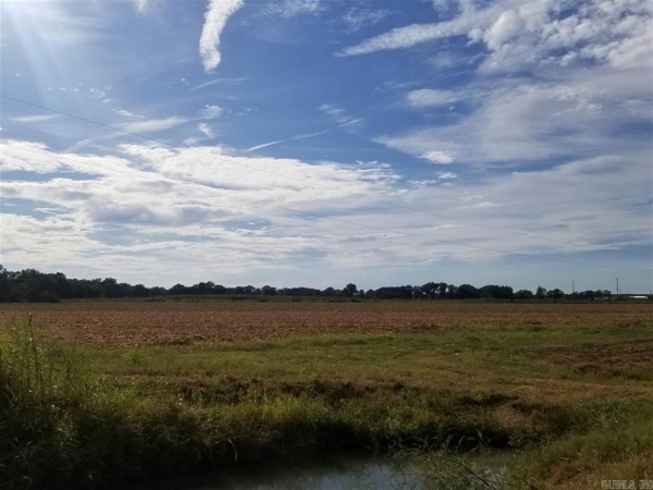 Listing Image #1 - Land for sale at 5459 E Nettleton, Jonesboro AR 72401