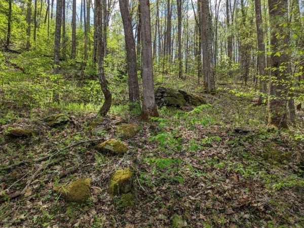 Listing Image #1 - Land for sale at 3.71 Buck Creek Trail Ph3, Epworth GA 30541
