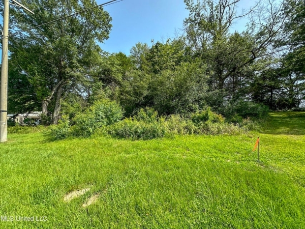 Listing Image #2 - Others for sale at 109 Woodchase Park Drive, Clinton MS 39056