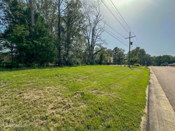 Listing Image #3 - Others for sale at 109 Woodchase Park Drive, Clinton MS 39056