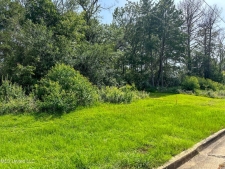 Others property for sale in Clinton, MS