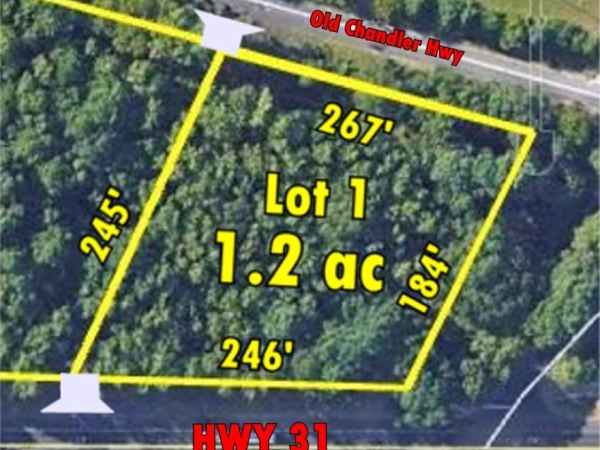 Listing Image #1 - Land for sale at 16393 HWY 31 LOT 1, Tyler TX 75709