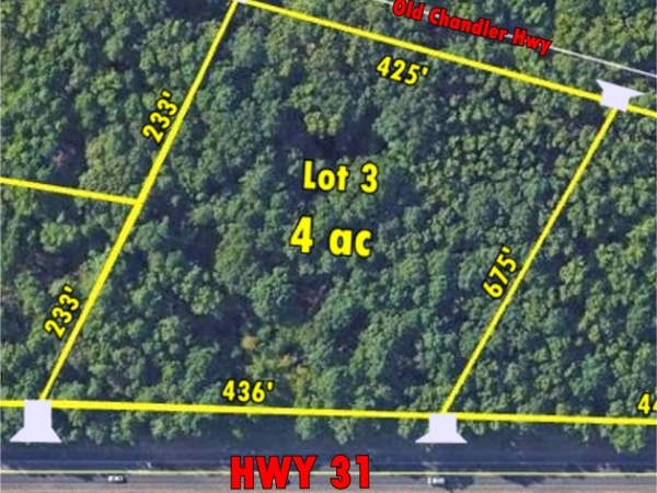 Listing Image #1 - Land for sale at 16393 HWY 31 LOT 3, Tyler TX 75709