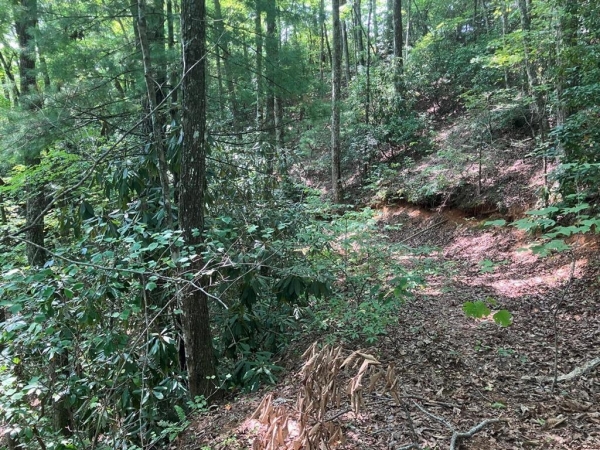 Listing Image #2 - Land for sale at 5.8 Copper Creek Road, Murphy NC 28906