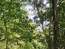 Listing Image #3 - Land for sale at 5.8 Copper Creek Road, Murphy NC 28906