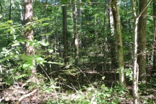 Land property for sale in Bumpus Mills, TN