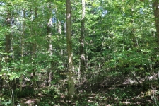 Land property for sale in Bumpus Mills, TN
